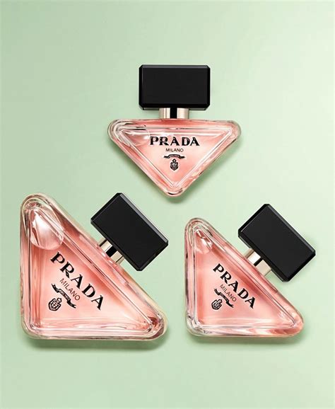 Prada paradoxe macy's